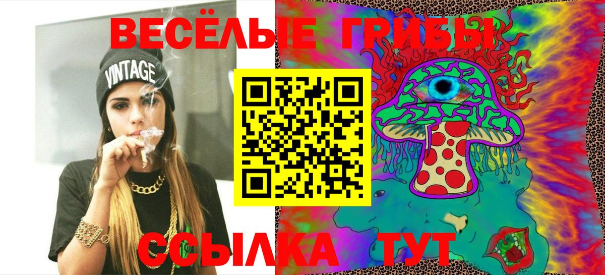 Галлюциногенные грибы Psilocybe  Вход с VPN  Кстово 